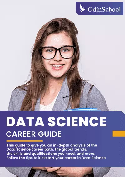 The Ultimate Data Science Career Guide | OdinSchool